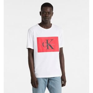 Calvin Klein pánské tričko s potiskem - M (112)
